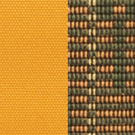 Golden Sun/Frise Green