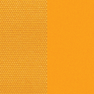 Golden Sun/Sahara Yellow